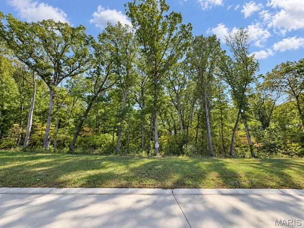 4 Forestdale Ln, Warrenton, MO 63383
