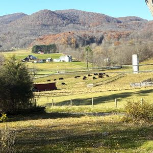 462 Edray Rd, Marlinton, WV, 24954