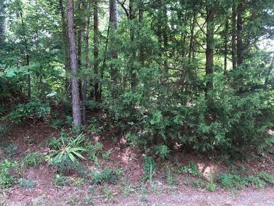 8 County Road 287, Arley, AL, 35541