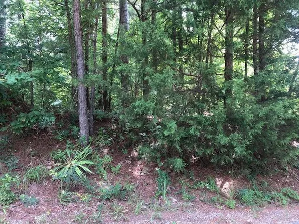 8 County Road 287, Arley, AL 35541