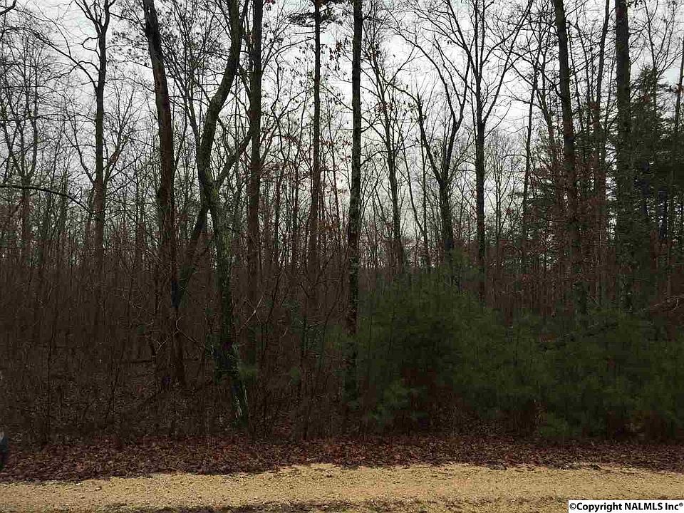 Road 9050 28, Mentone, AL 35984 Zillow