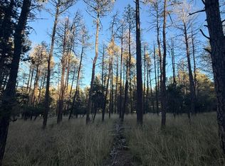 6 Pine Rd, Timberon, NM 88350