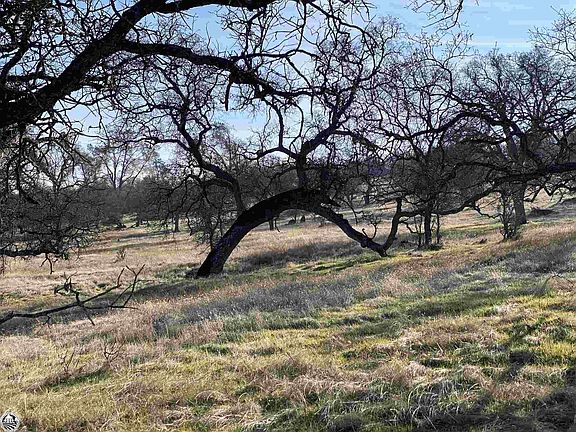 5th image of 4960 Kendall Ct Lot 1