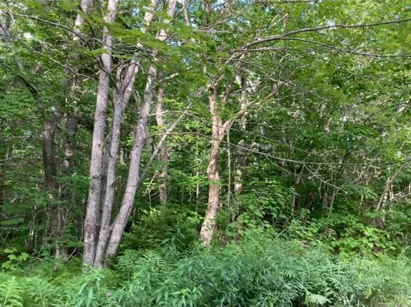Simons Rd, Frankville, NS B0H 1P0