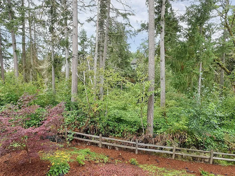 20798 SW Anna Ct — Photo 31