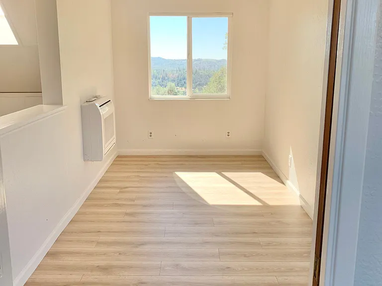 16838 Lively Wood Ln — Photo 6