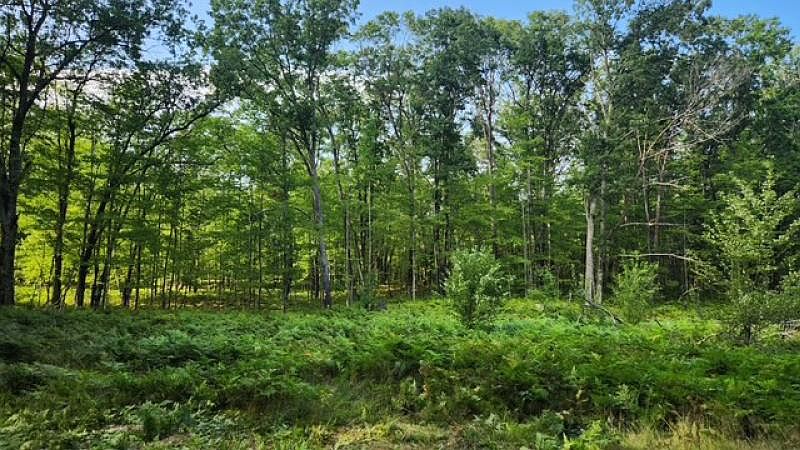 1st image of 877 E Taylor Track Rd