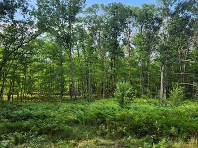 877 E Taylor Track Rd, Lincoln, MI, 48742