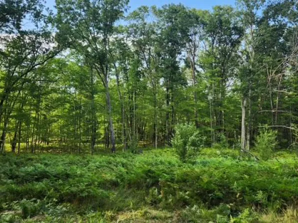 877 E Taylor Track Rd, Lincoln, MI 48742