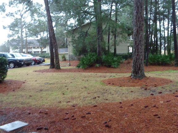 2nd image of 241 Sandpiper Bay Unit 5F