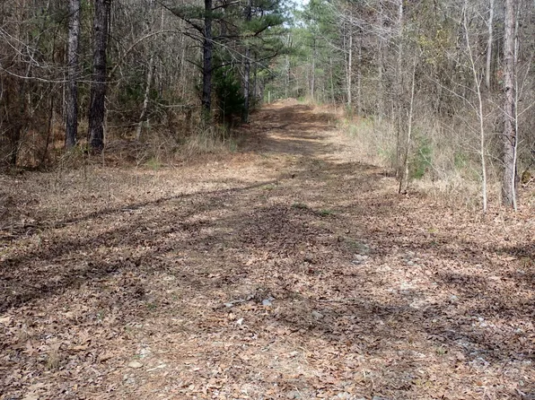 0 Gary Springs Loop, Centreville, AL 35042