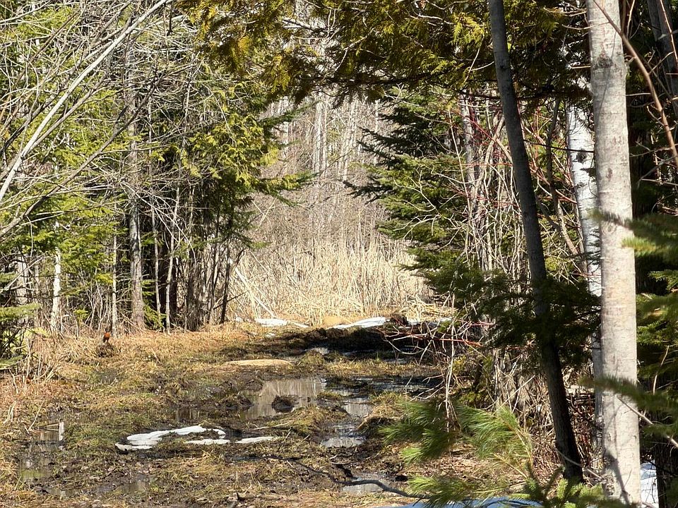 1st image of Witt Rd