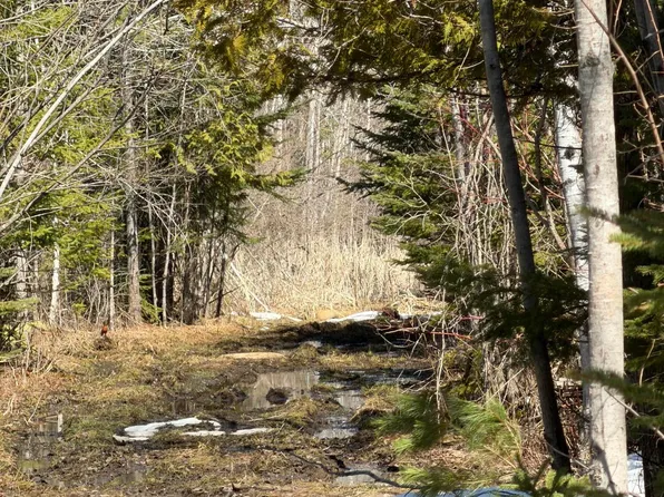 Witt Rd, Alpena, MI 49707