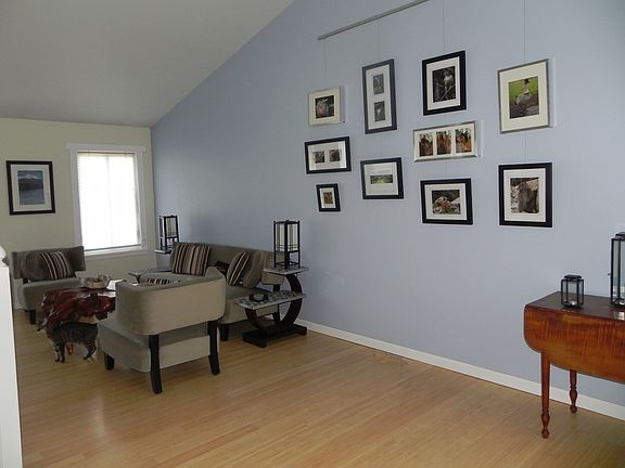 Living Room - lots of light