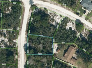 104 McKinley Ave, Lake Placid, FL 33852
