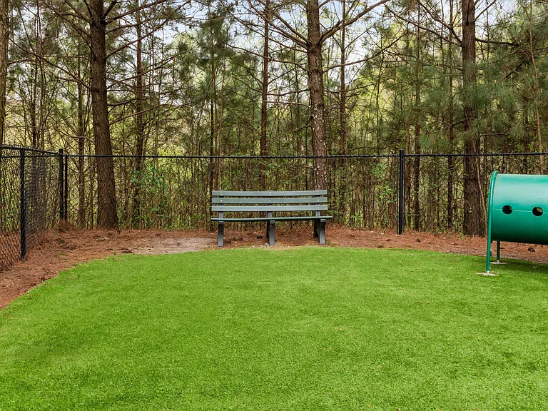 Dog Park
