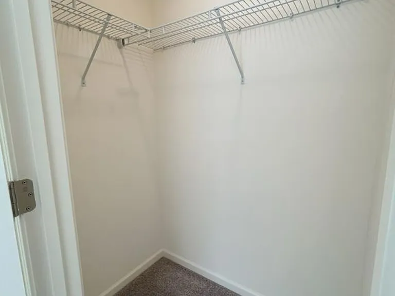 204 Trumpet Vine Dr — Photo 8