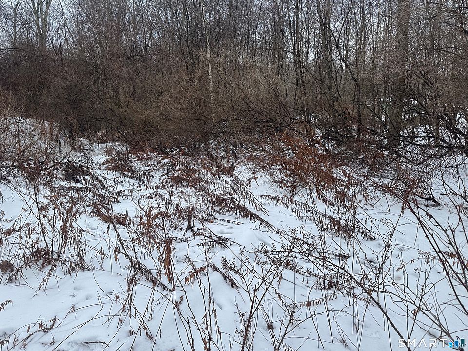 2nd image of 262 Stoddard Road