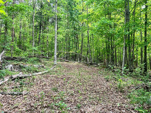 4th image of 0 Echo Point Rd Tract 1