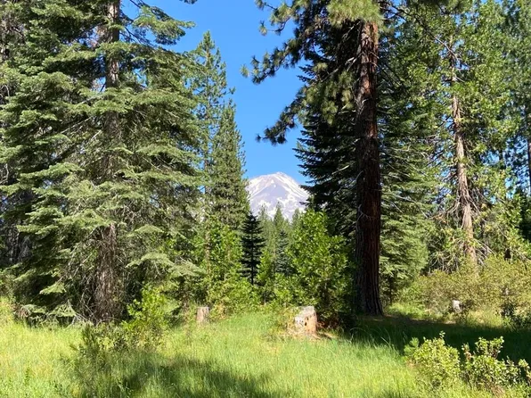 2-E-7 Snowline Cir, McCloud, CA 96057