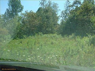2nd image of 493 Bog Rd