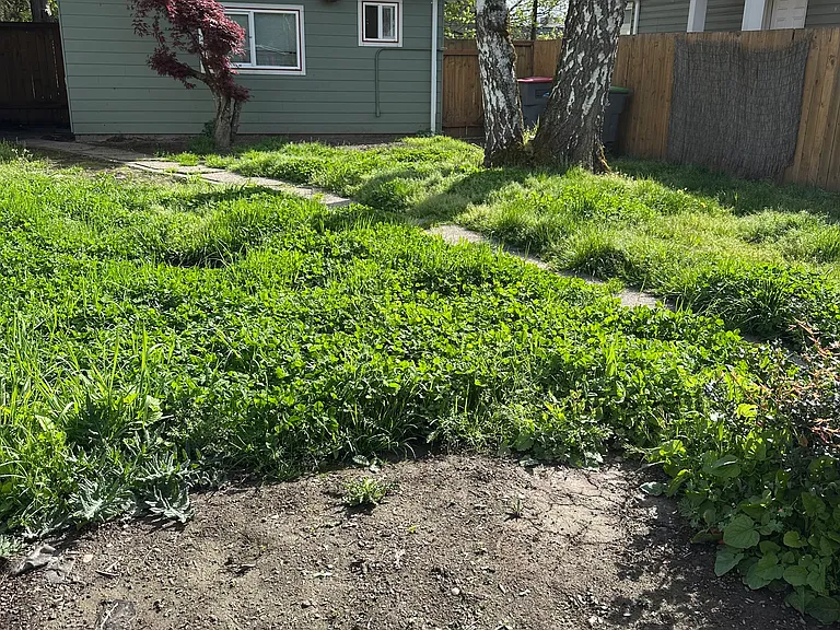 515 S Fellows St #B — Photo 23