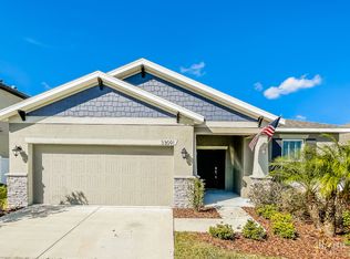 33091 Frogs Leap Ln, Wesley Chapel, FL 33545