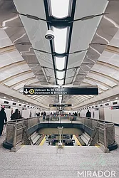 Rented by Mirador Real Estate