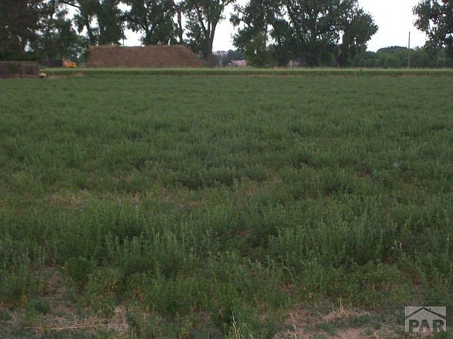 1st image of 0 21st Ln