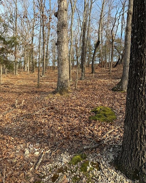 2nd image of LOT 76 Shady Glen Rd