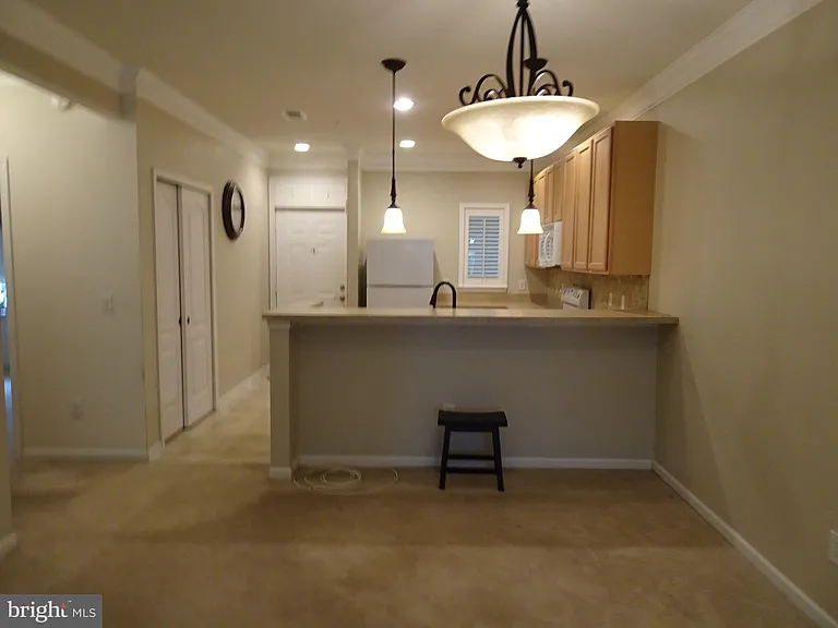 101 Colonial Downs Ct #1102 — Photo 8