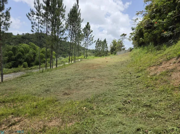157 Zafiro, Cidra, PR 00739