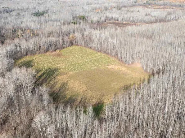 11680 County Road 59, Orr, MN 55771