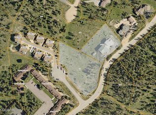 16 Gcr Ave #8343, Fraser, CO 80442