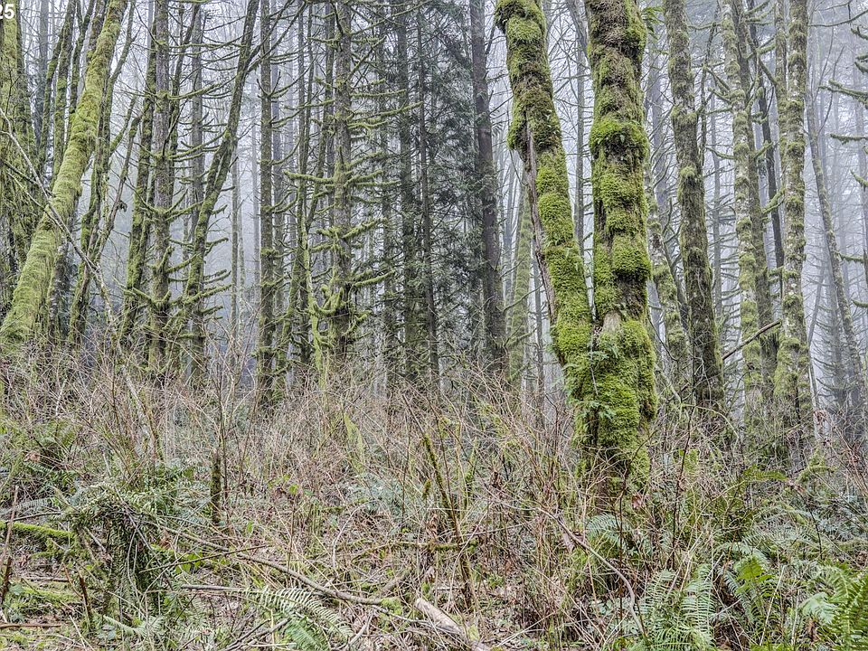 2nd image of 0 Neer City Rd