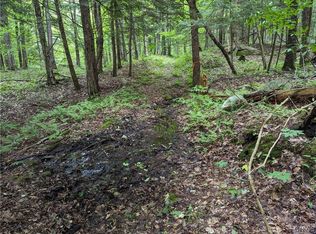 LOT 27 Maple Ave #46, Lowville, NY 13367