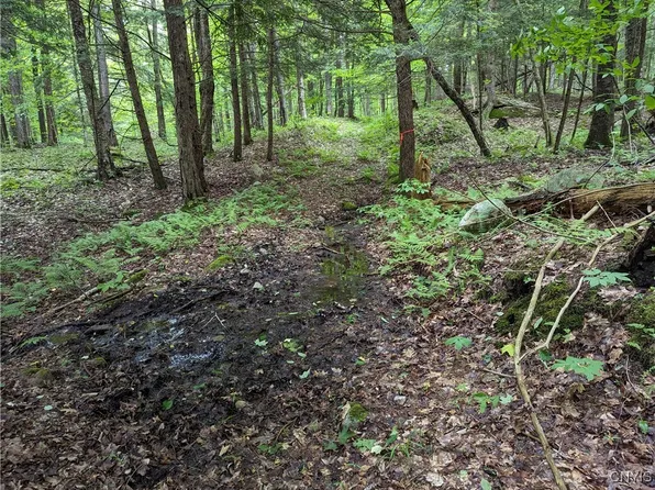 LOT 27 Maple Ave #46, Lowville, NY 13367