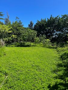 Kiawe Rd, Keaau, HI, 96749