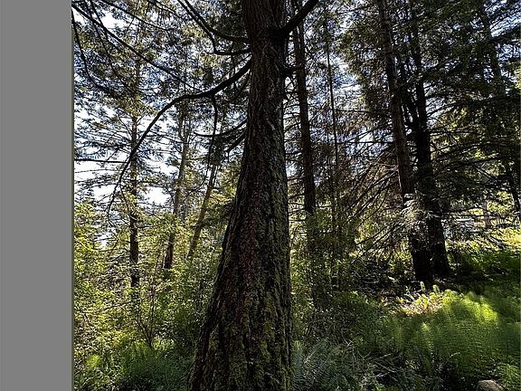 4th image of 808 Roehl's Hill Rd. Road
