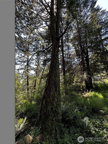 4th image of 808 Roehl's Hill Rd. Road