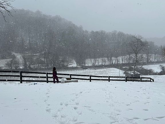 3rd image of 19 Hickerson Mountain Ln