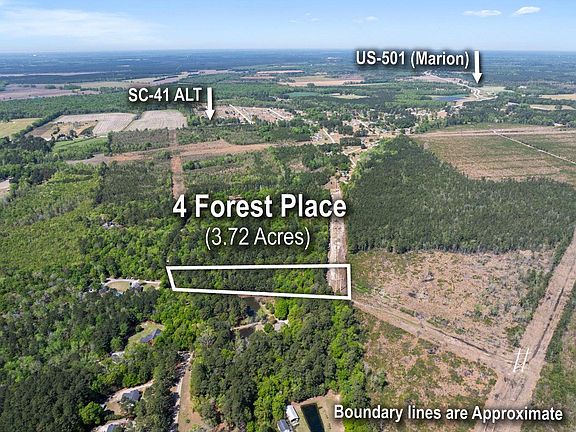 4th image of 4 Forest Pl