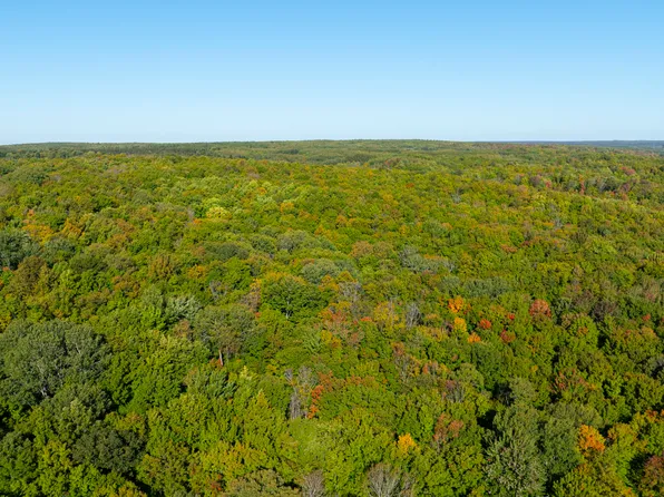 Blue Lake Rd NE, Kalkaska, MI 49646