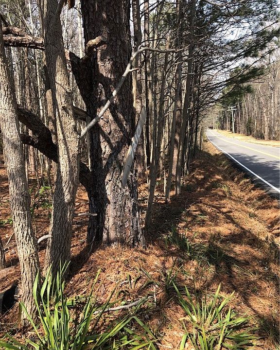 2nd image of 0 Strath Rd