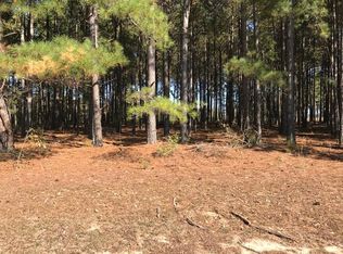 170 Wexford Mill Dr, Wagener, SC 29164