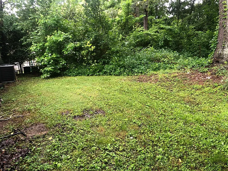 105 Julia St — Photo 5