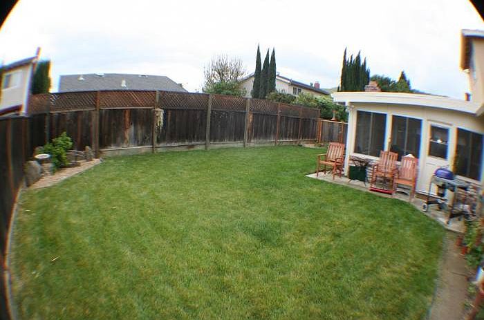 Backyard