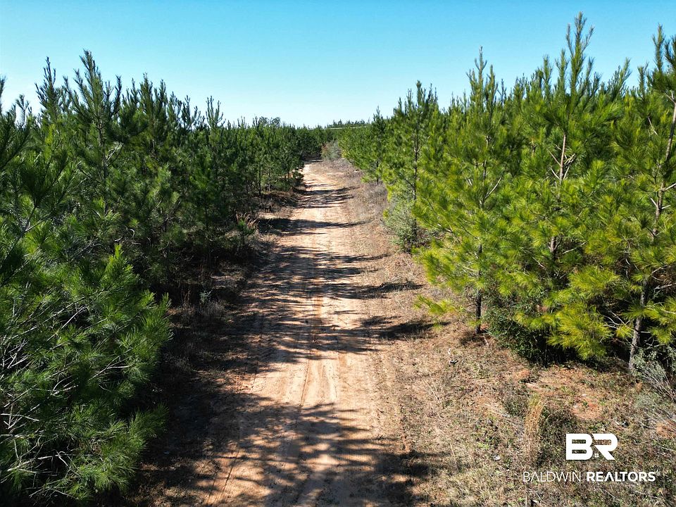 1st image of LOT 4 Robinsonville Rd