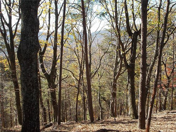 Image 2: Beautilf Hardwood on the Lot. Mountain Views