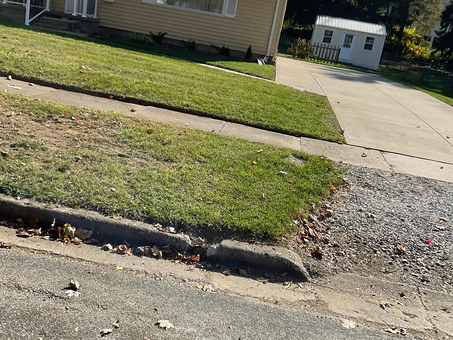 3 bed, $1,000 — Photo 2